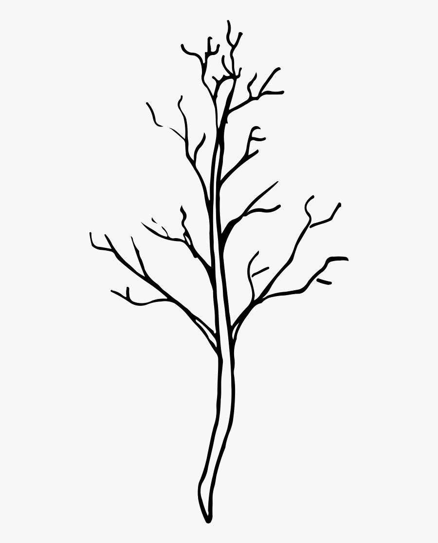 Noun Branch 1823085 - Twig, Transparent Clipart