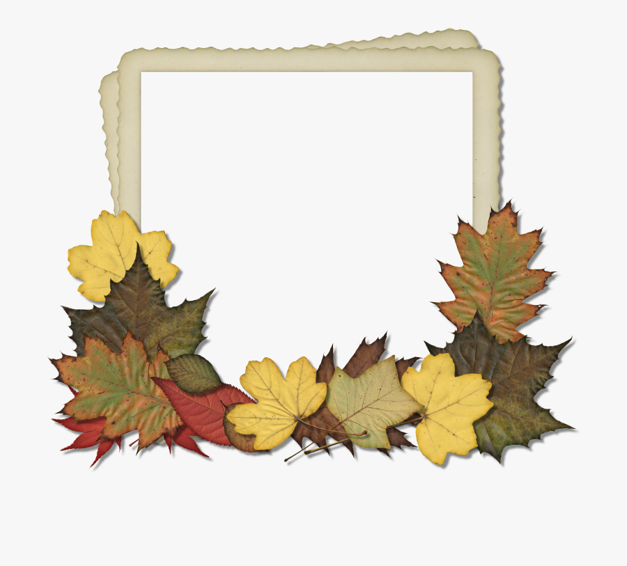 Fall Frame Png - Autumn Leaf Frames Png, Transparent Clipart