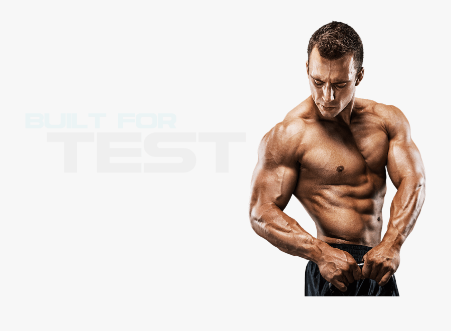 Muscle Png Image File - Primeval Labs, Transparent Clipart