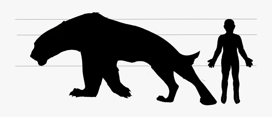 Depending On Their Region Their Food Consists Off Mountain - Dog Catches Something, Transparent Clipart