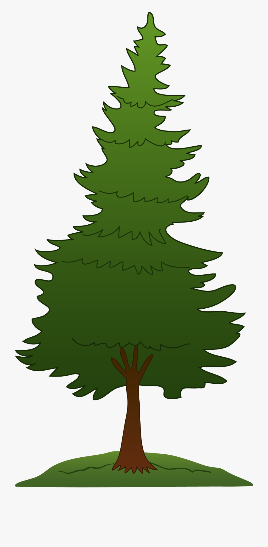 Redwood Tree Clip Art - Pine Tree Clipart Png, Transparent Clipart