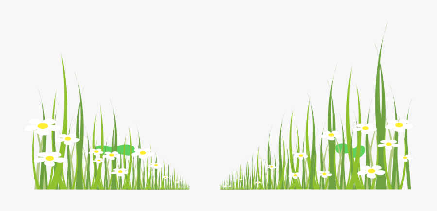 Download Hd Grama Grass - Grass, Transparent Clipart