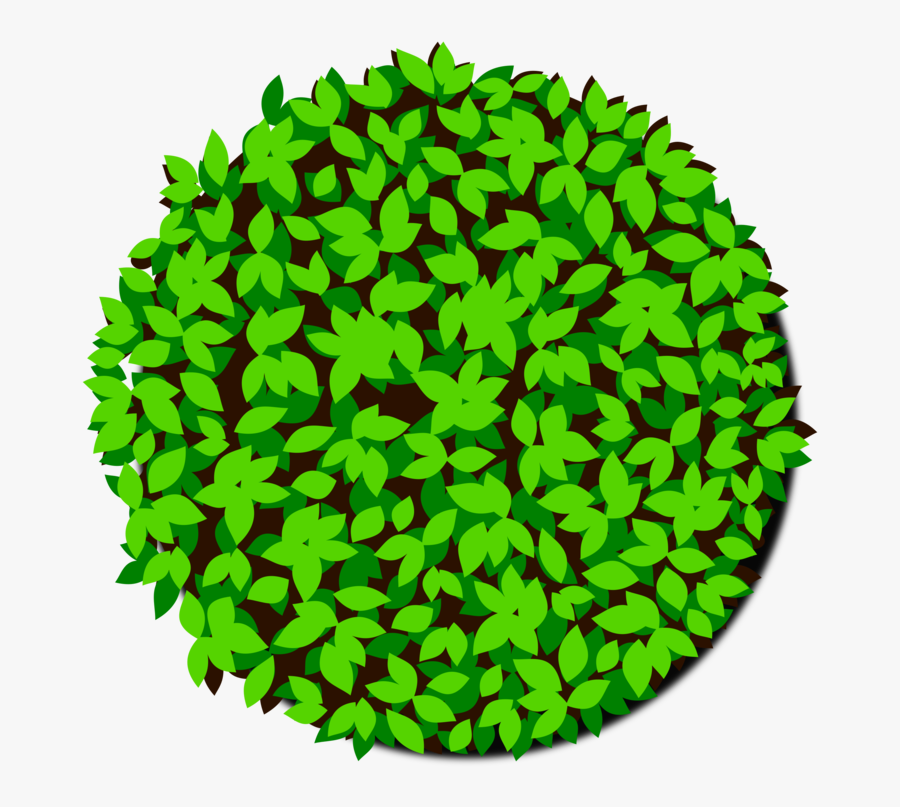 Leaf,plant,grass - Tree, Transparent Clipart