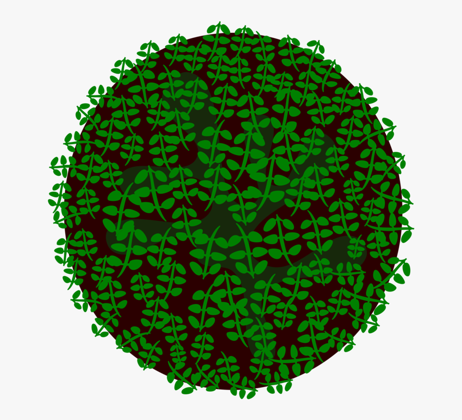 Leaf,circle,grass - Circle, Transparent Clipart