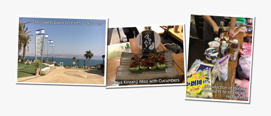 Common Fig, Transparent Clipart