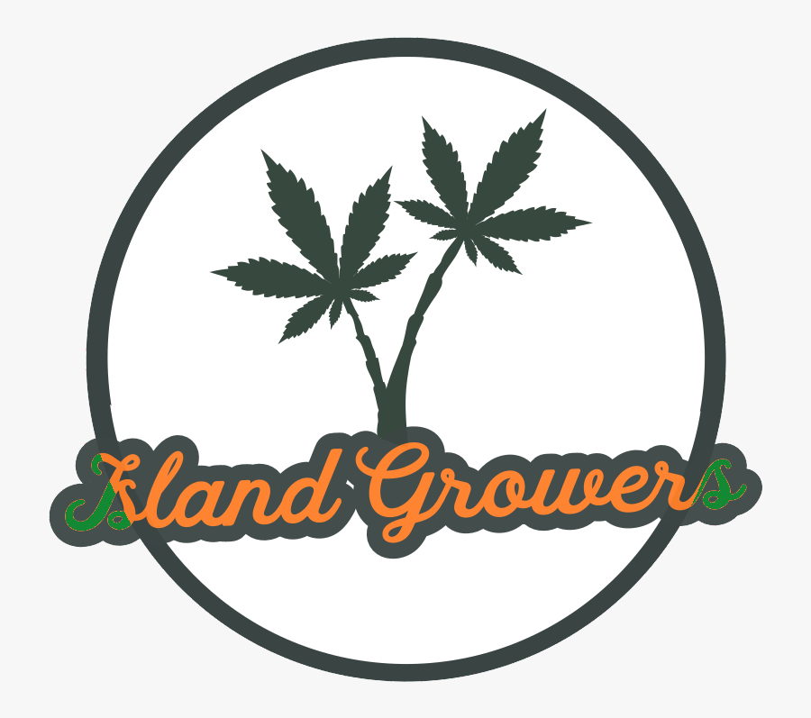 Framed Canvas Art, Transparent Clipart