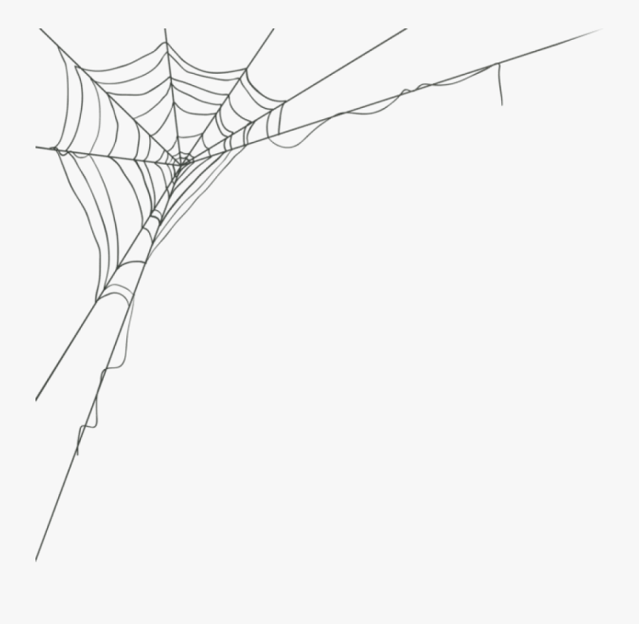Cobwebs Transparent Drawing - Spider Web Vector Png, Transparent Clipart