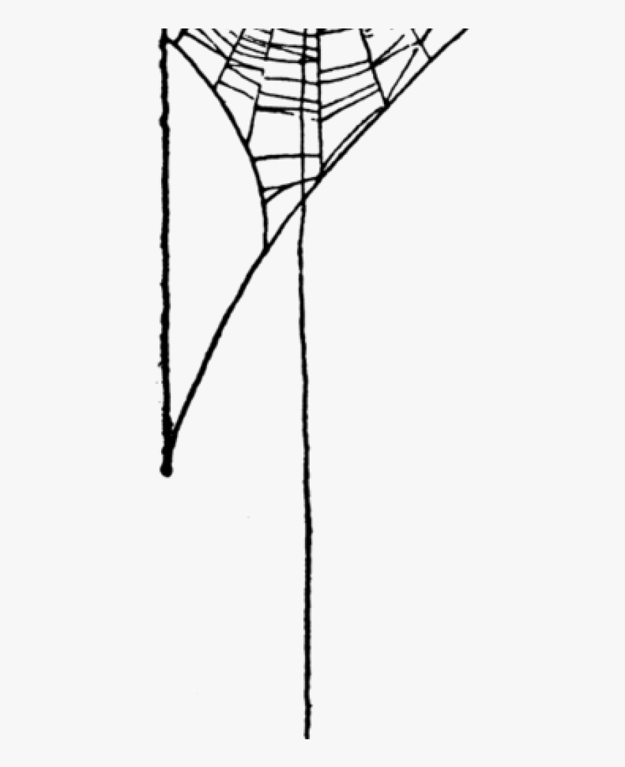 Spider Web Png Index Of Imagesthumb222spider Web Clip - Spider Web Border Transparent, Transparent Clipart