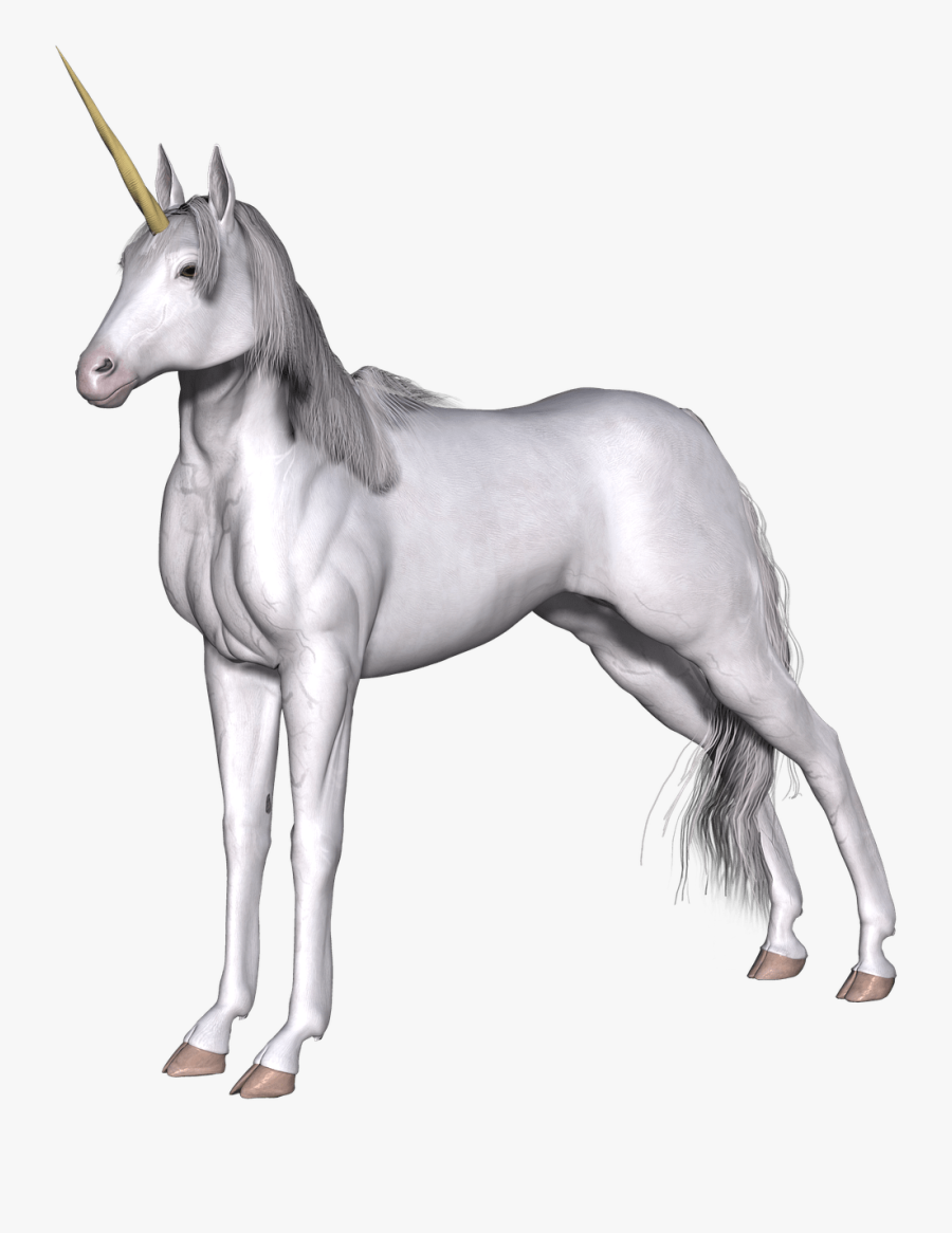 Full White Unicorn, Transparent Clipart