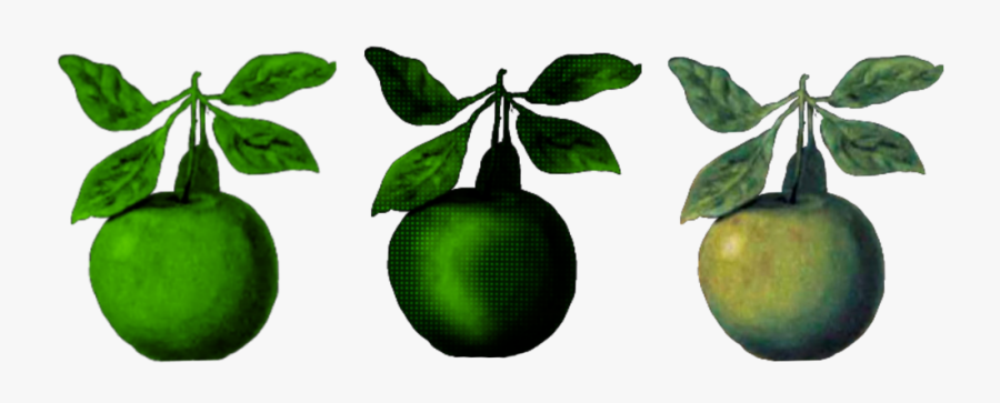 #magritte #apple #green - Tangerine, Transparent Clipart