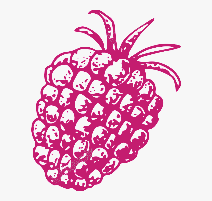 Drawn Pineapple Transparent - Illustration, Transparent Clipart