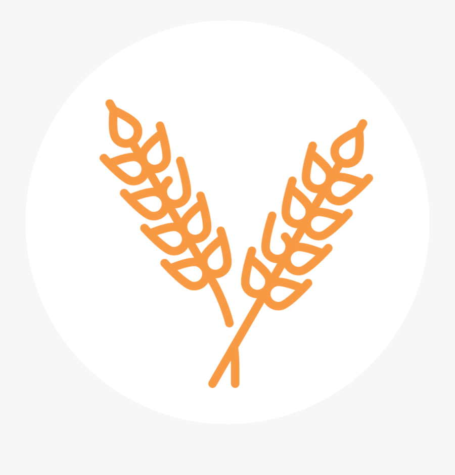 Circle, Transparent Clipart