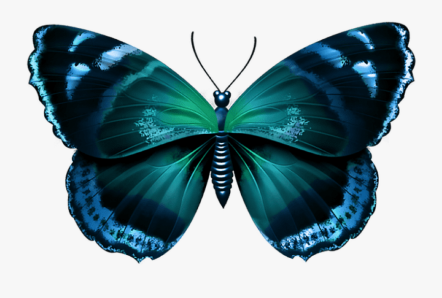 Free Png Download Blue Butterfly Clipart Png Photo - Png Free Butterfly Transparent, Transparent Clipart