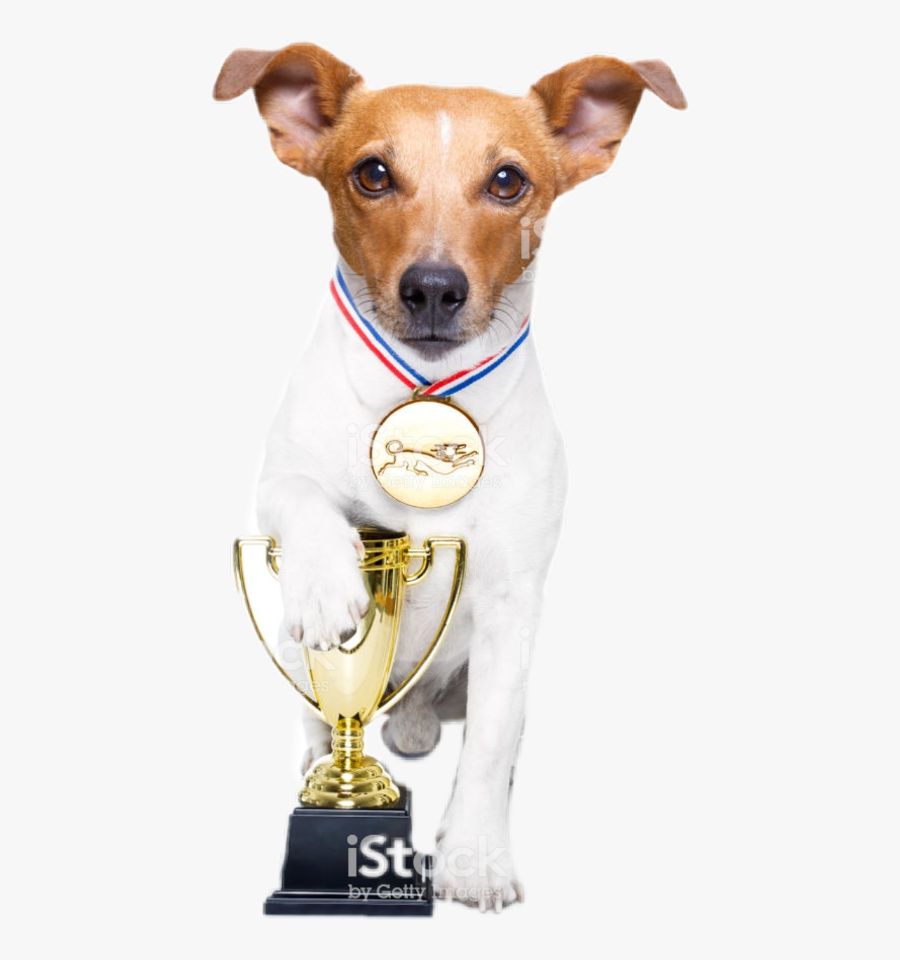 Cachorro Troféu Freetoedit Sctrophy Trophy - Cocktail Dog, Transparent Clipart