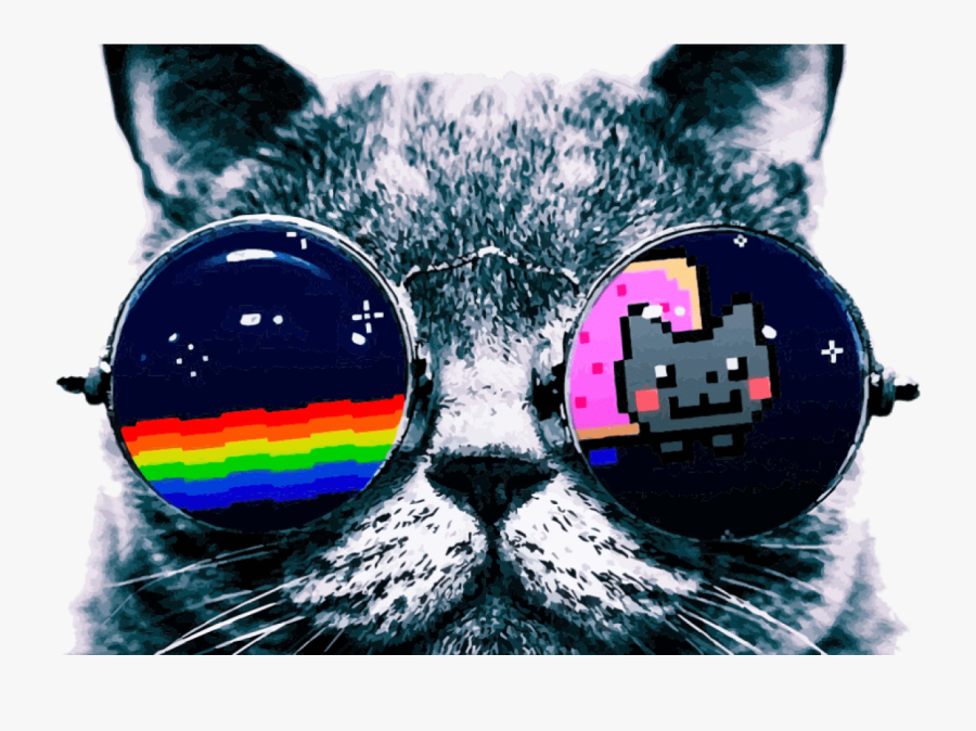 Nyan Cat Wearing Sunglasses Coloring Page Sunglasses - Cat With Glasses Png, Transparent Clipart