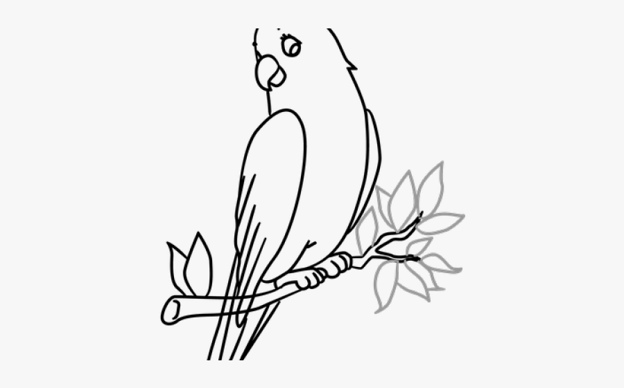 Drawing Of Birds With Tree, Transparent Clipart