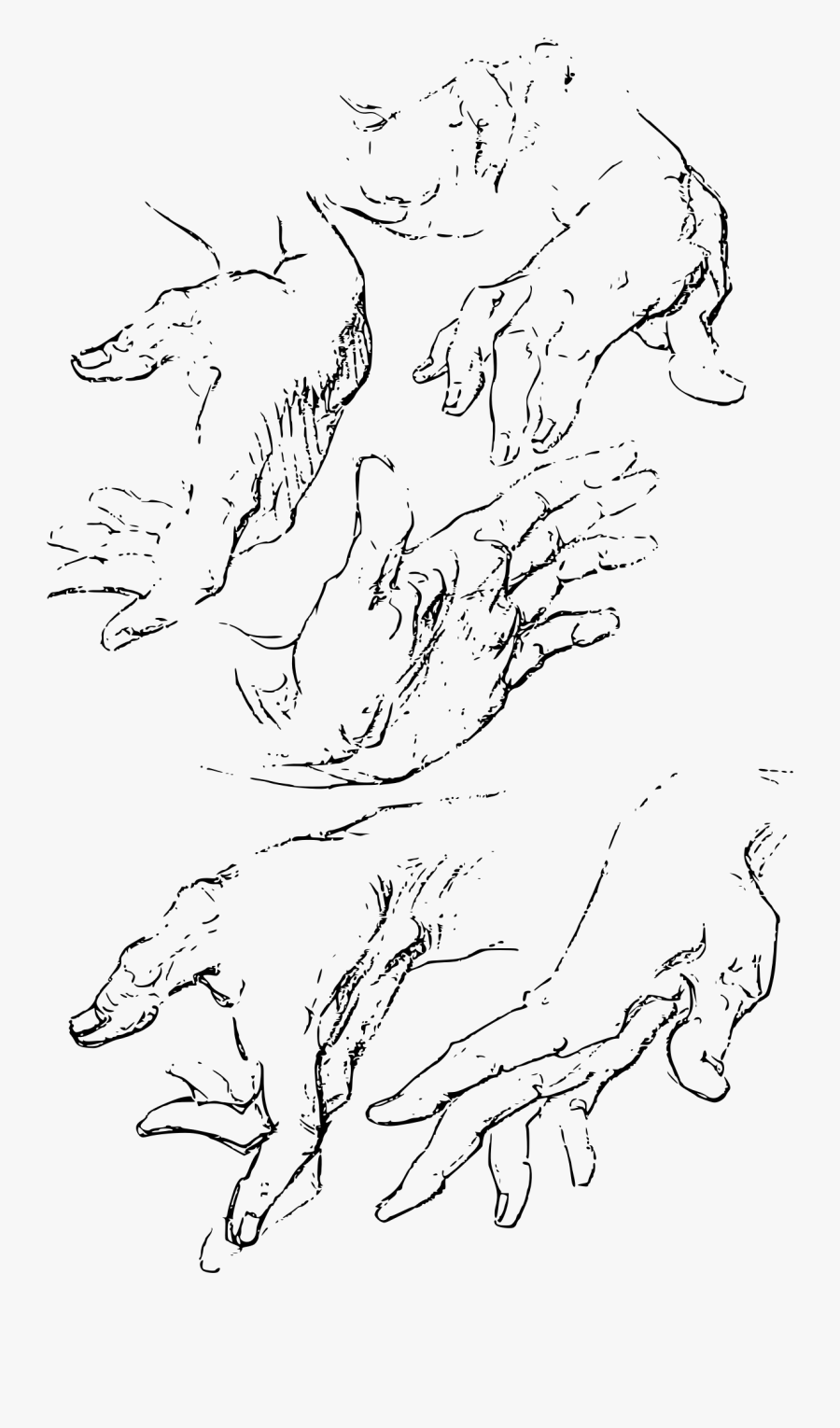 Clip Download Clipart Anatomy Book Big - Constructive Anatomy Drawing, Transparent Clipart