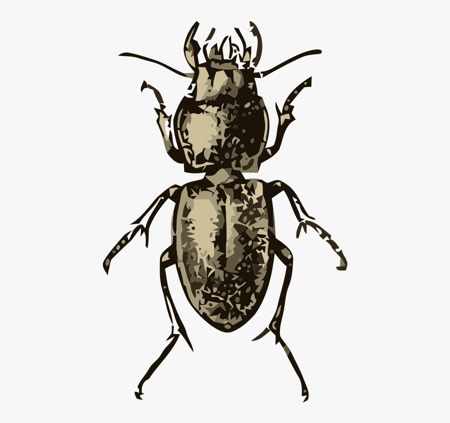 Clip Art, Transparent Clipart