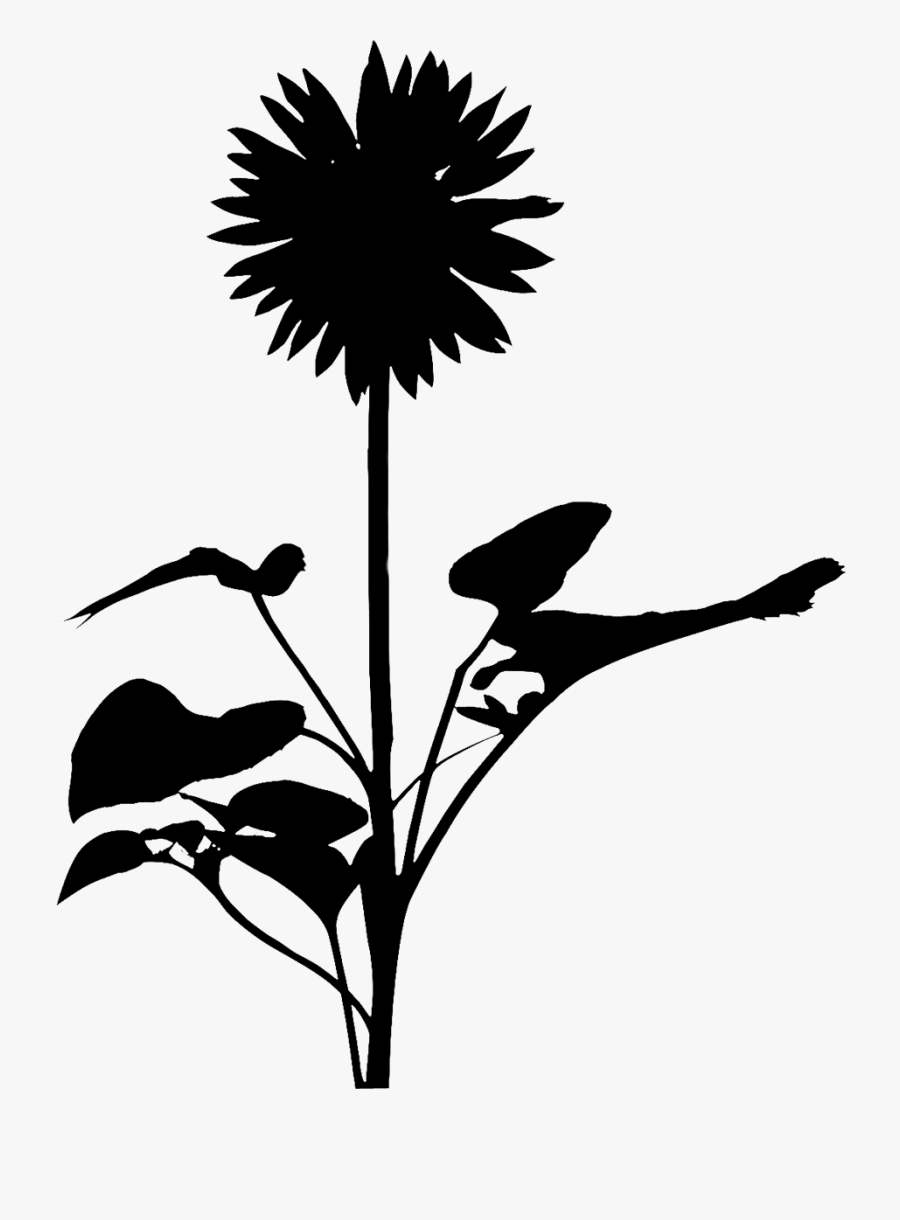 Clip Art Leaf Silhouette Plant Stem Flowering Plant - Silhouette, Transparent Clipart