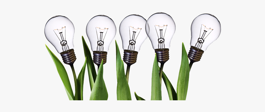 Light Bulb,incandescent Light Bulb,lighting,compact - Innovation .png, Transparent Clipart