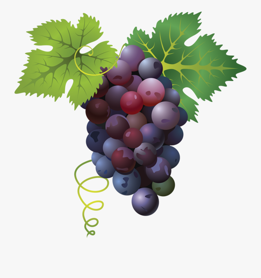 Grape Transparent Bunch - Grape Png, Transparent Clipart