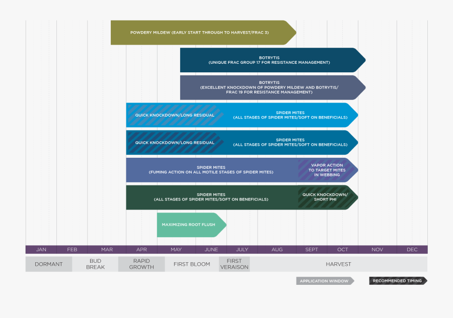 Screenshot, Transparent Clipart