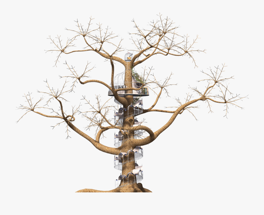 Tree Fantasy Spiral Staircase Png, Transparent Clipart