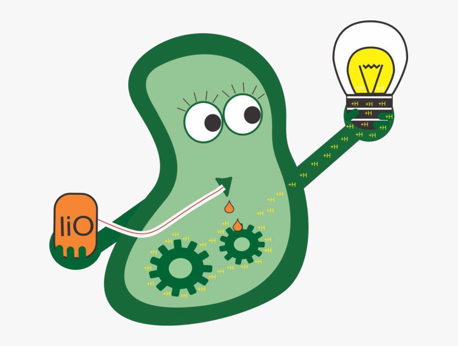 Cartoon, Transparent Clipart