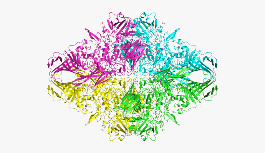 Pdb Entry 3t09 - Illustration, Transparent Clipart