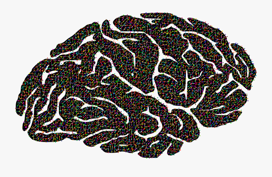 Brain,organism,organ, Transparent Clipart