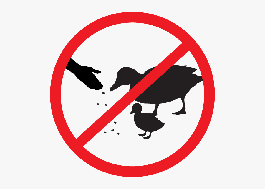 Mcculloch V Maryland Symbol, Transparent Clipart