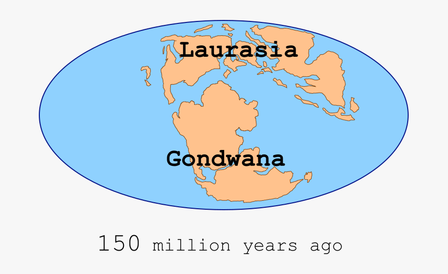 Italian Agency Of Revenue, Transparent Clipart