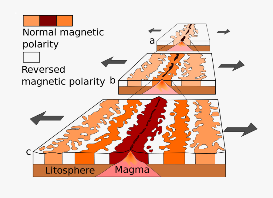 Example Of Magnetic Reversal, Transparent Clipart
