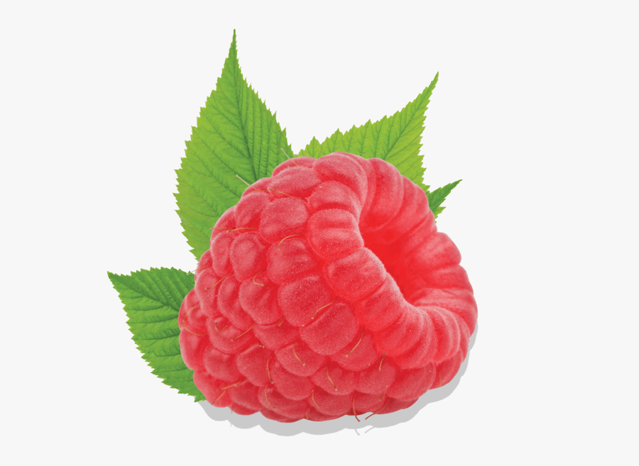 Plump Raspberry, Transparent Clipart