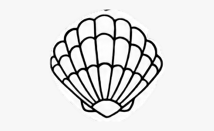 #concha - Sea Shell Clip Art, Transparent Clipart