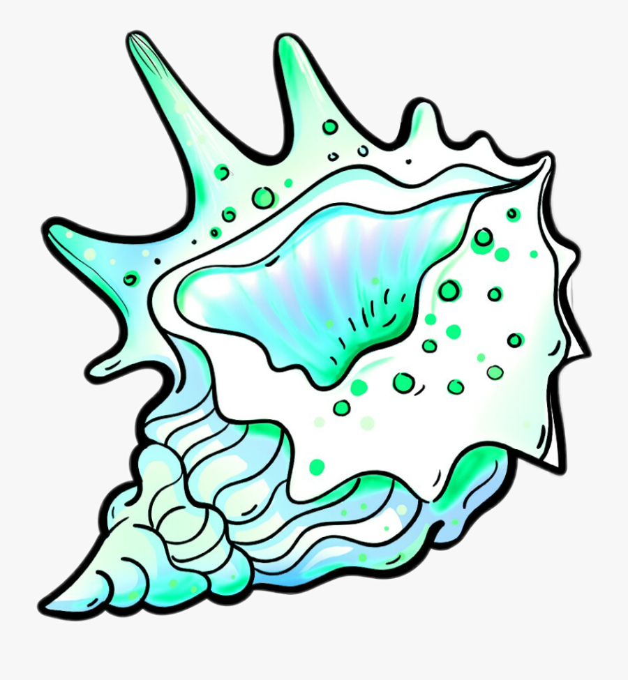 #beach #cute#moana #praia #concha, Transparent Clipart