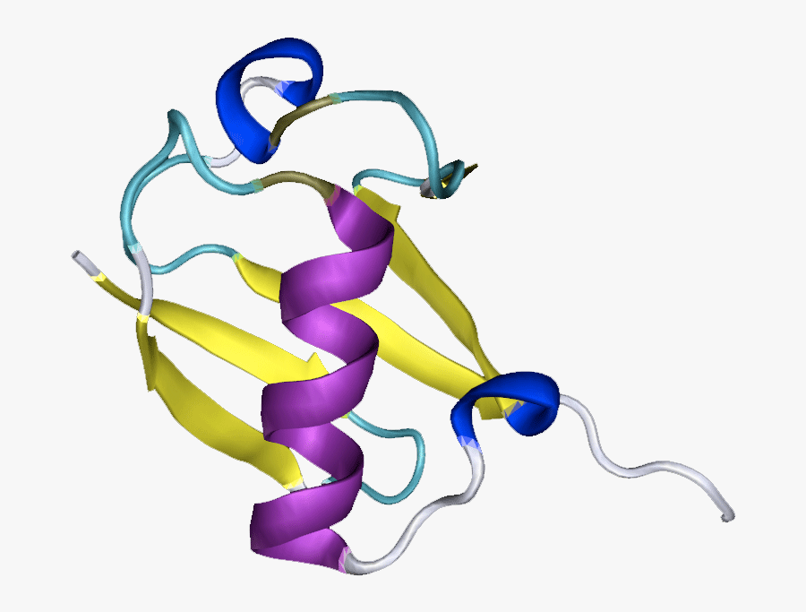 08 Pm 3524039 Unit 7 Bkgd - Graphic Design, Transparent Clipart