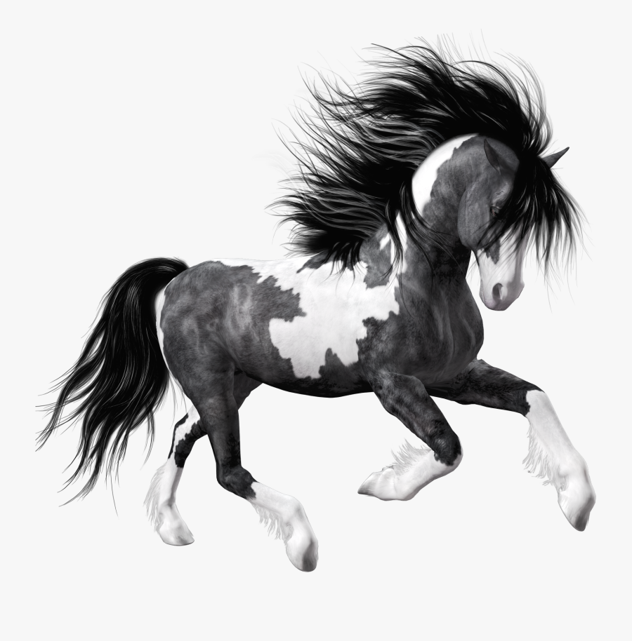 Black And White Horse Transparent, Transparent Clipart