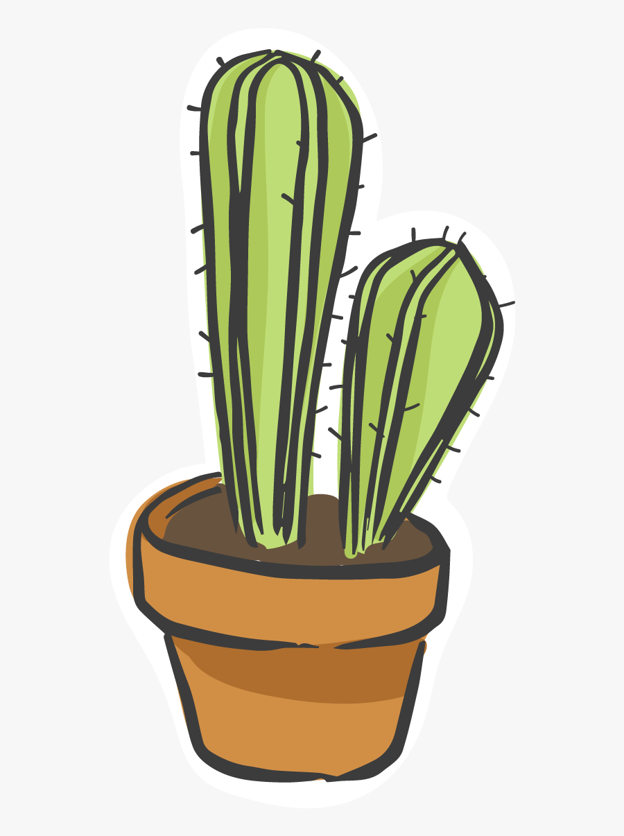 Cactaceae Plant Flower Magnet - Cactus, Transparent Clipart