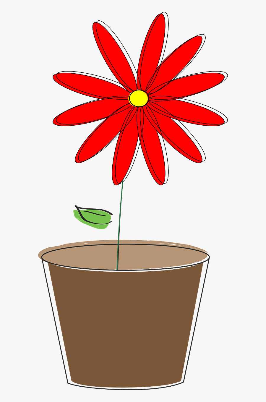 Potted Plant Flower Daisy Free Picture - Karuna Himalaya, Transparent Clipart