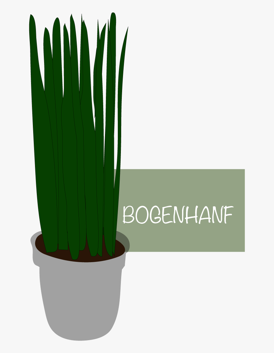 Flowerpot, Transparent Clipart