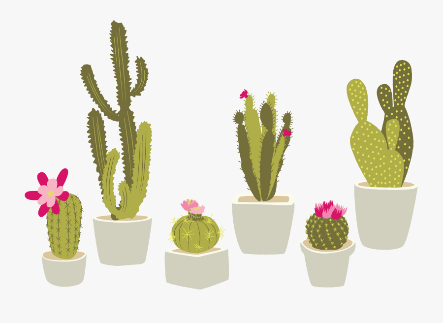 Clip Art Cactaceae Houseplant Succulent Plant - Transparent Background Cactus Clipart Png, Transparent Clipart