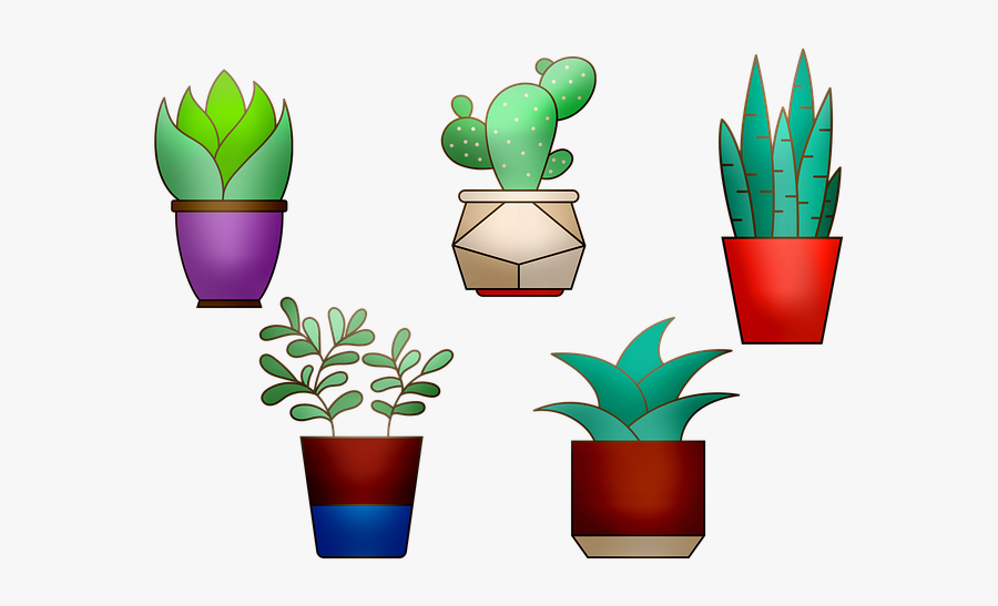 Houseplant, Transparent Clipart