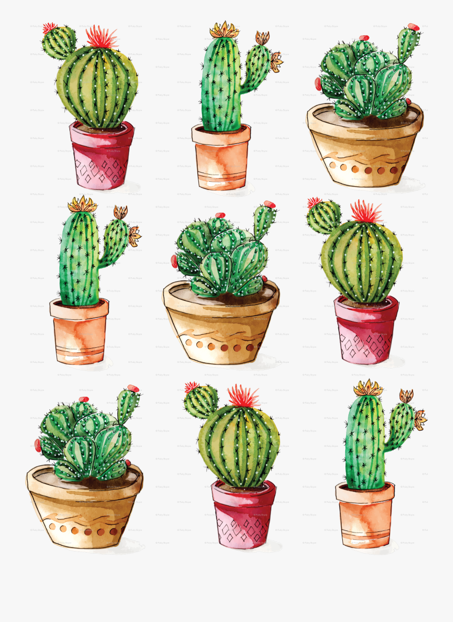 Large-flowered Cactus, Transparent Clipart