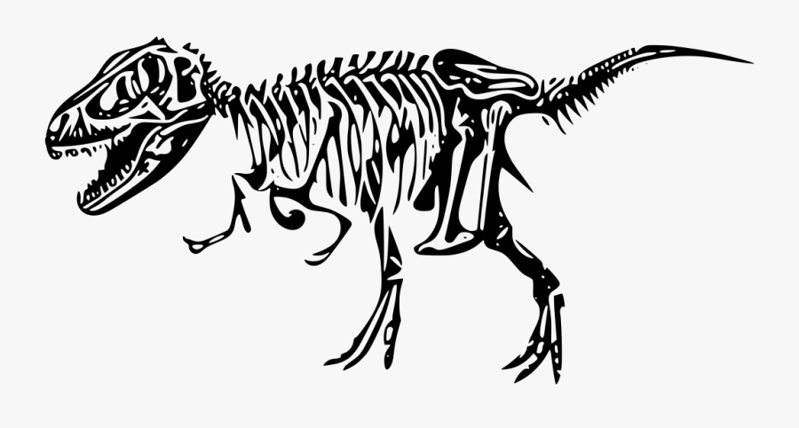 Transparent Background Dinosaurs Fossil Drawing Png, Transparent Clipart