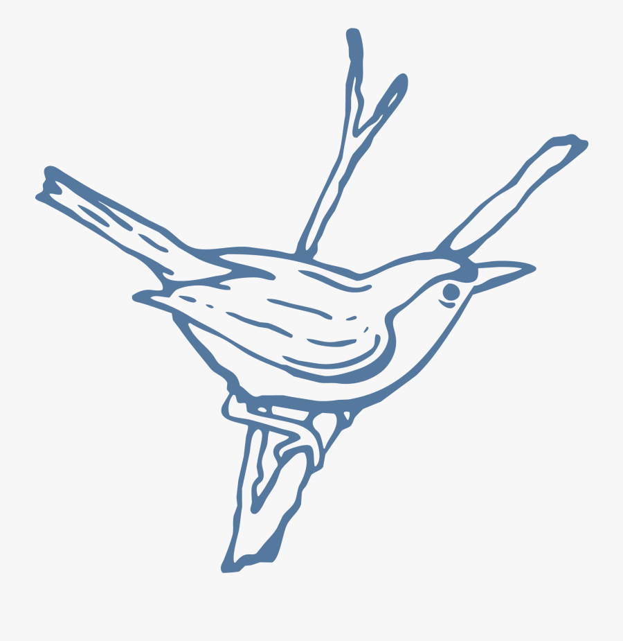 Café Wren - Illustration, Transparent Clipart