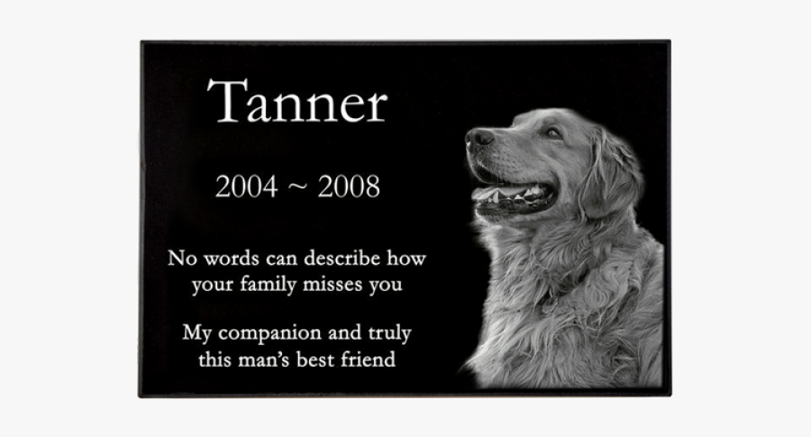 Memorial Words For Pet, Transparent Clipart