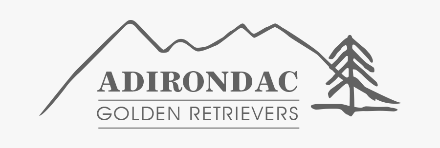 Adirondac Golden Retrievers, Mike Hosier - Silhouette, Transparent Clipart