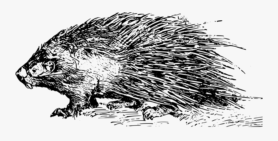 Log In - Illustration, Transparent Clipart