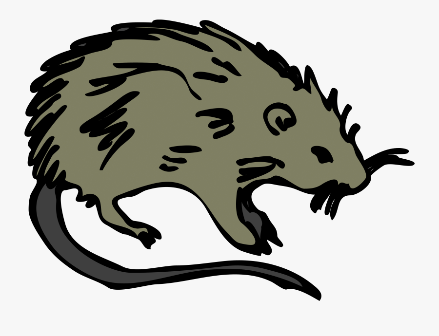 Transparent Cartoon Rat Png - Rodent Clipart, Transparent Clipart